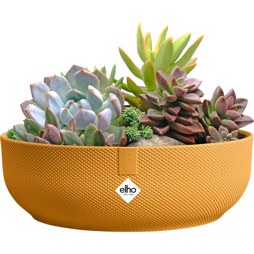 Blumentopf Jazz