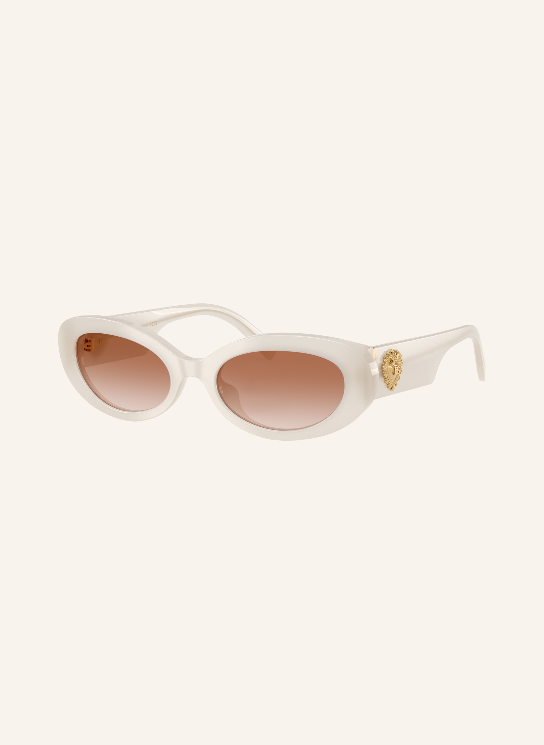 DOLCE & GABBANA Sonnenbrille DG4537