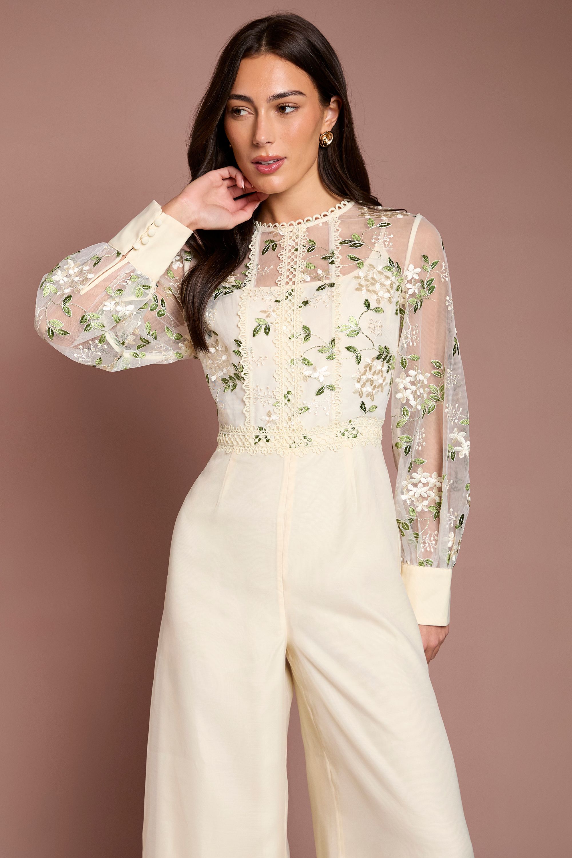 Coast Embroidered Floral Mesh Long Sleeve Jumpsuit