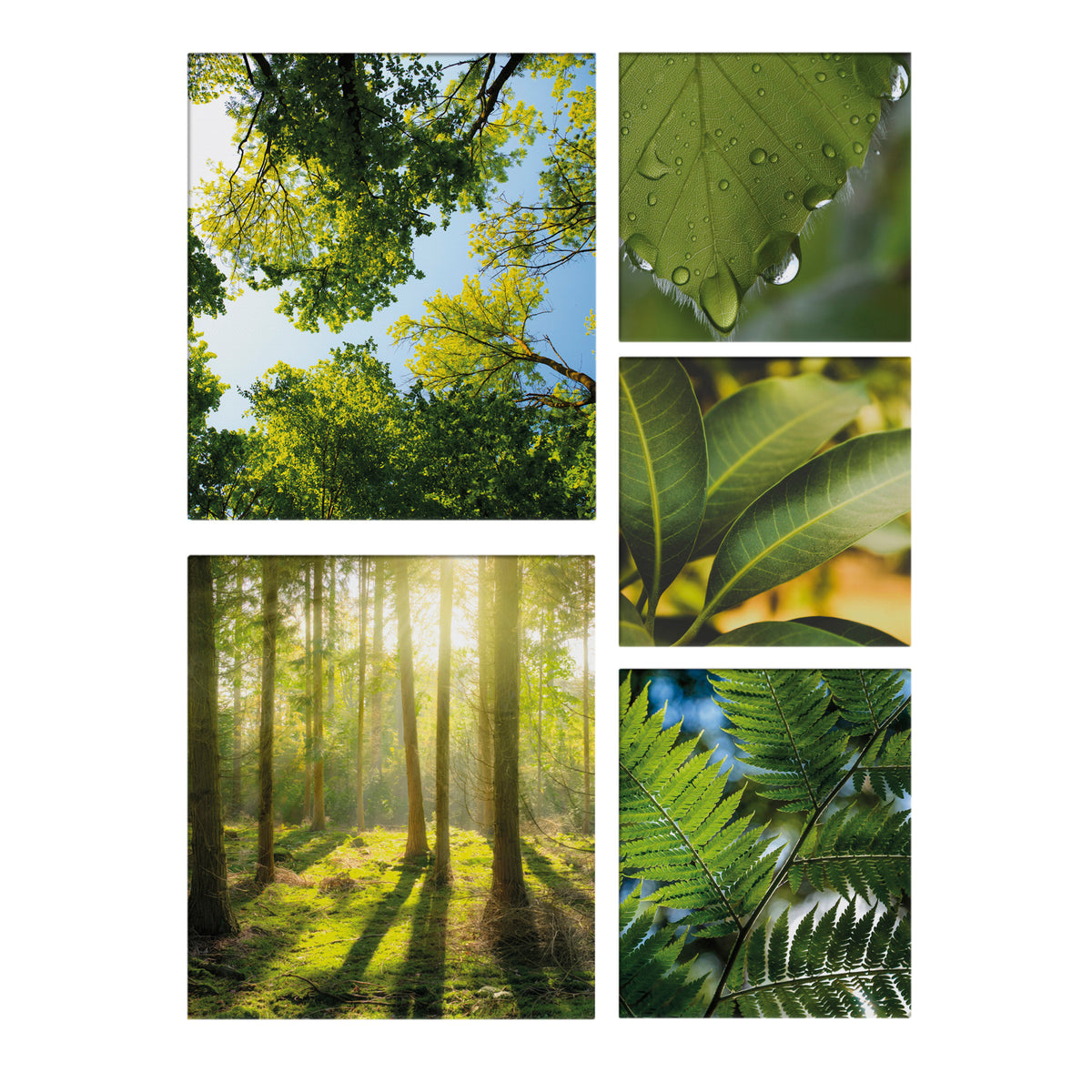 Art for the Home Canvas Set van 5 - Groene Stilte - 80x60cm