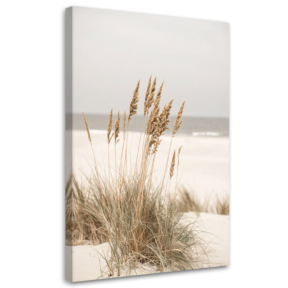 Obraz do salonu kuchni biura, Plaża morze rośliny natura beżowy 20x30