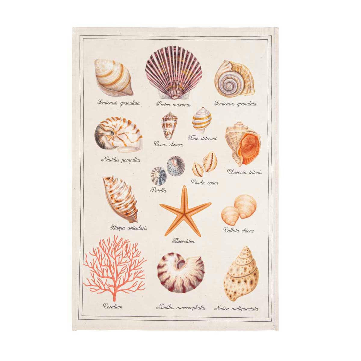 TRESORS DE LA MER - Torchon en métis multicolore 50x75