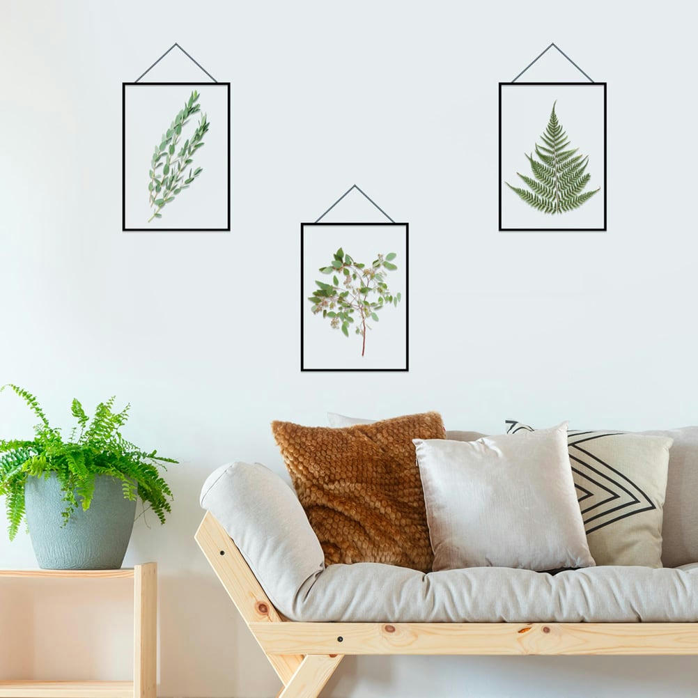 HERBIERS - Autocollant mural cadres herbiers 49,5x47,5cm