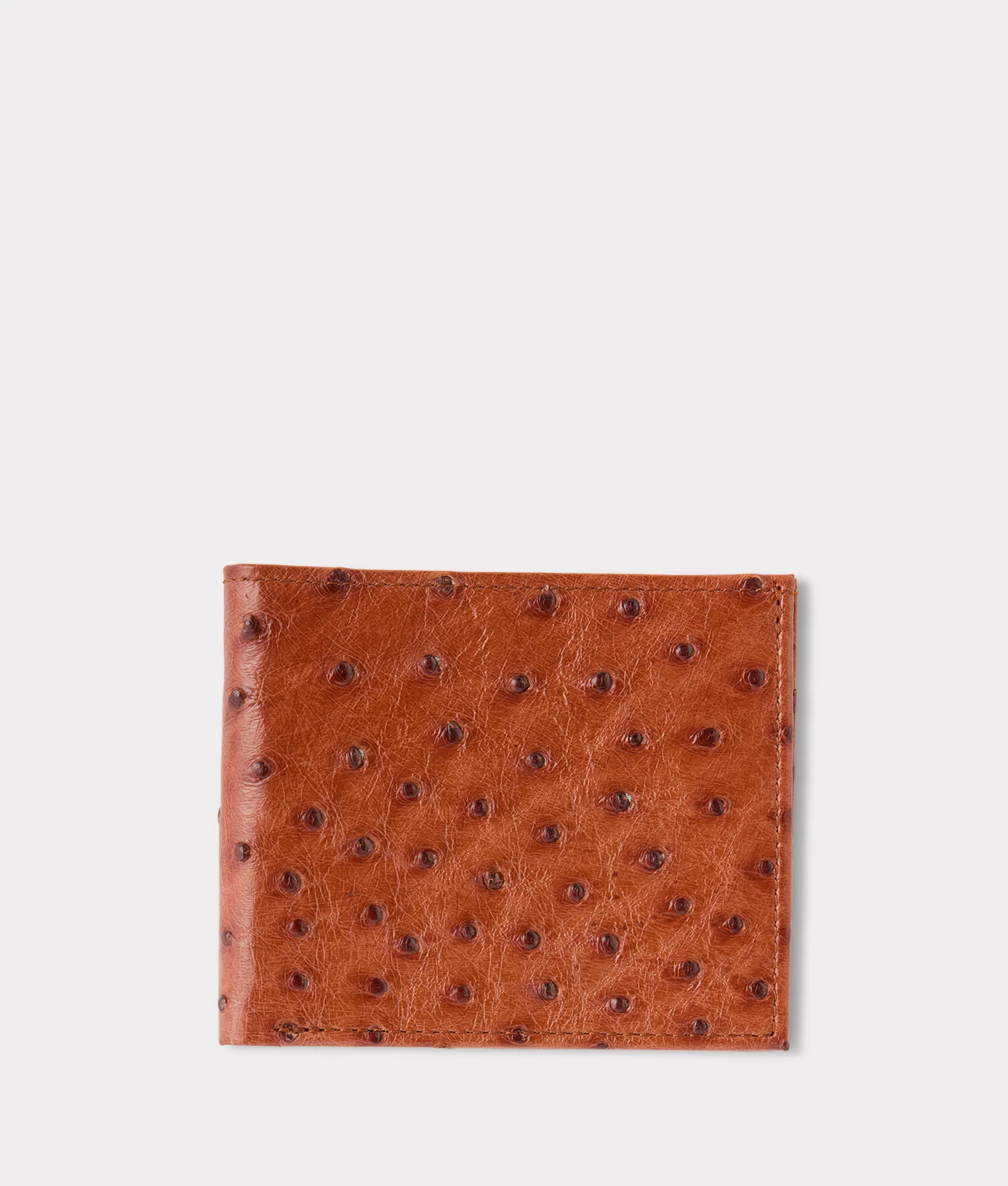 Womens Wallets