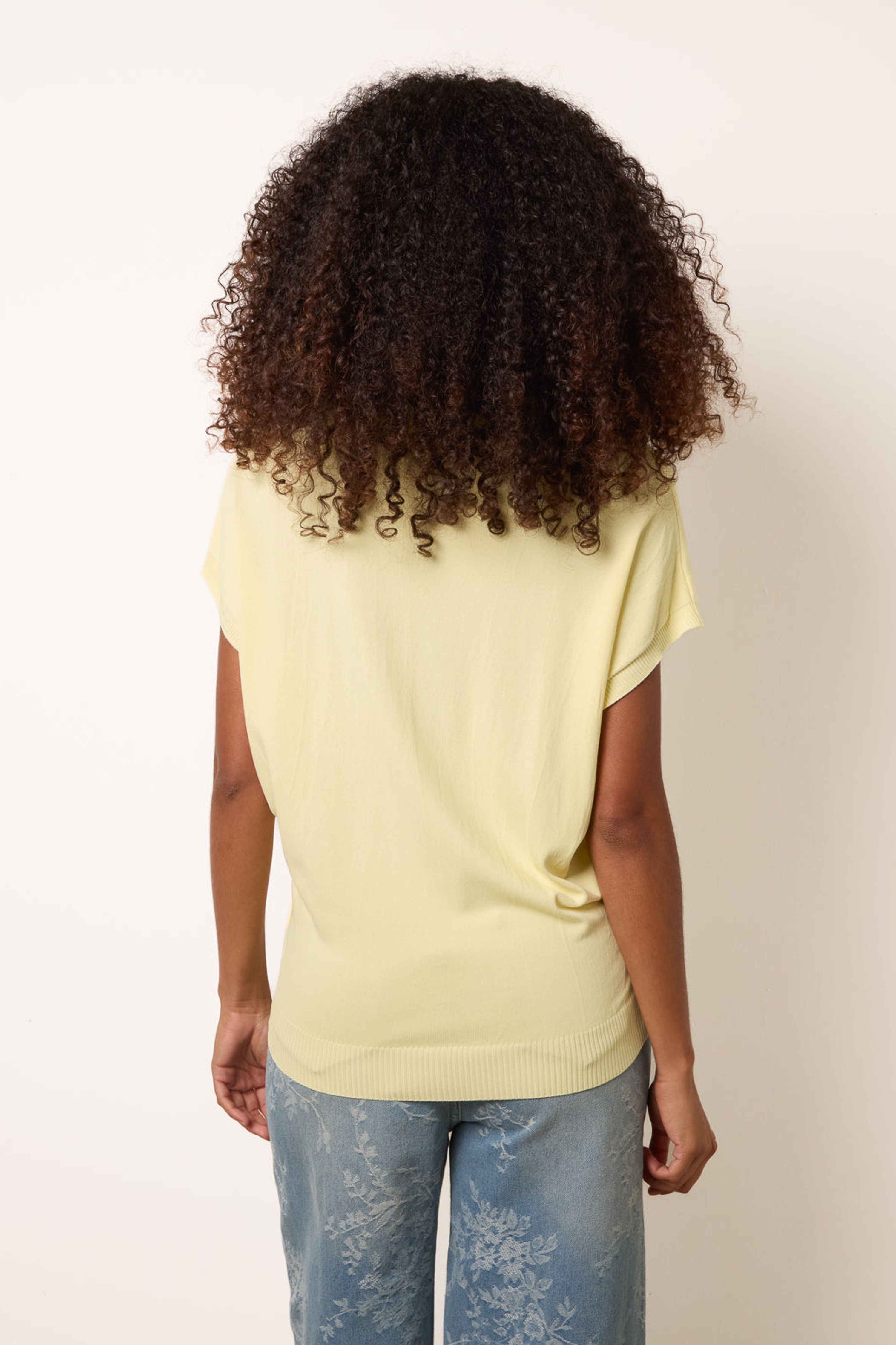 Blue Vanilla Lemon Short Sleeve Texture Knit Top