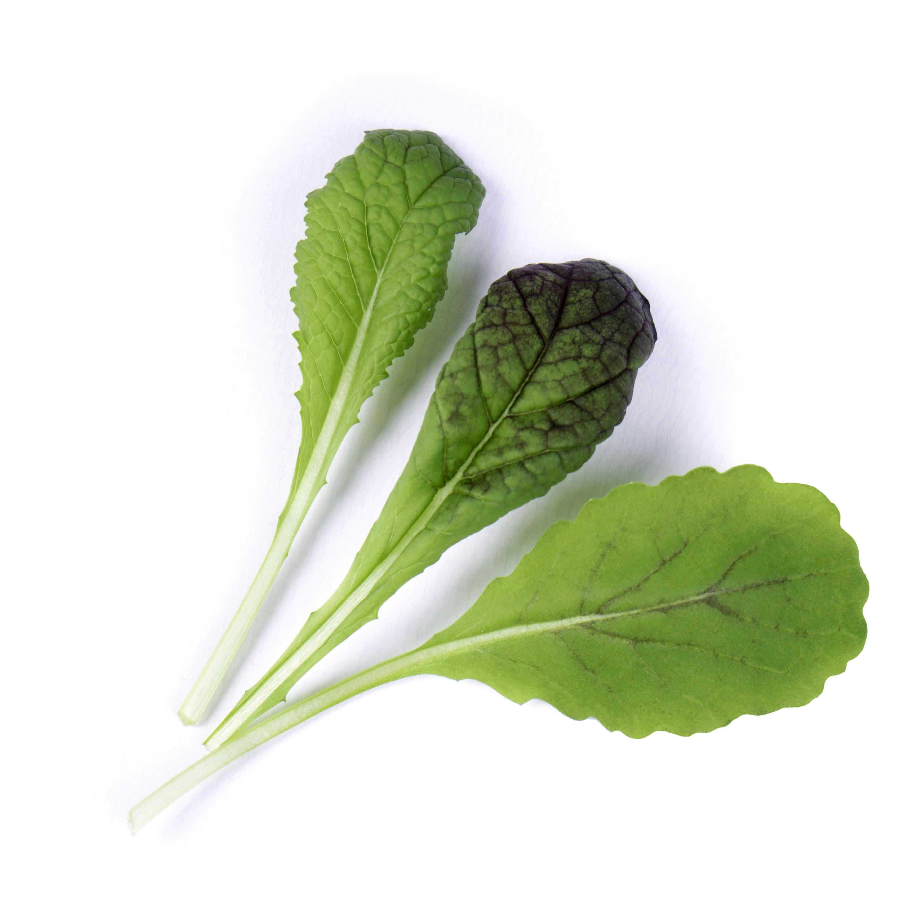 Lingot® - Lingot Moutarde Rouge BIO - Recharge prête à l'emploi