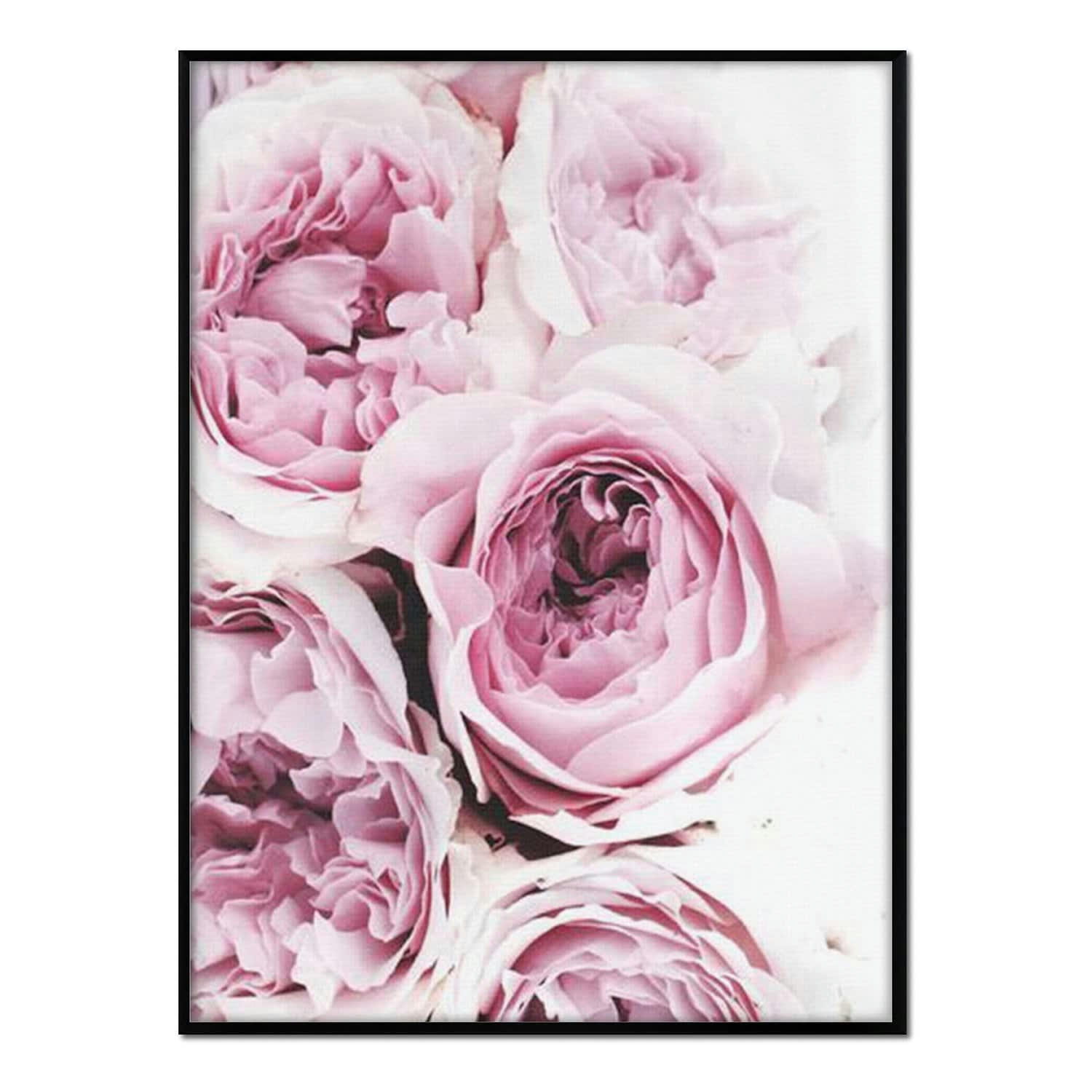 FLORES - Affiche avec cadre noir - Bouquets de Roses - 30x40