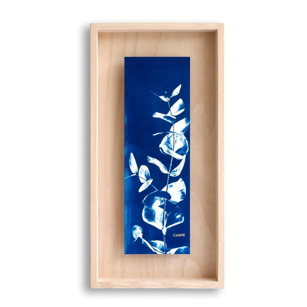 CARPË - Cadre en bois cyanotype eucalyptus 40x20cm
