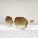 Dior Lrregular Logo Sunglasses