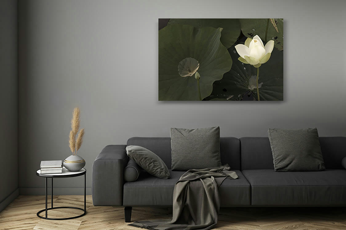 LUEUR - Photographie d'art de Zoé Pignolet 30x45 cm sur plexi