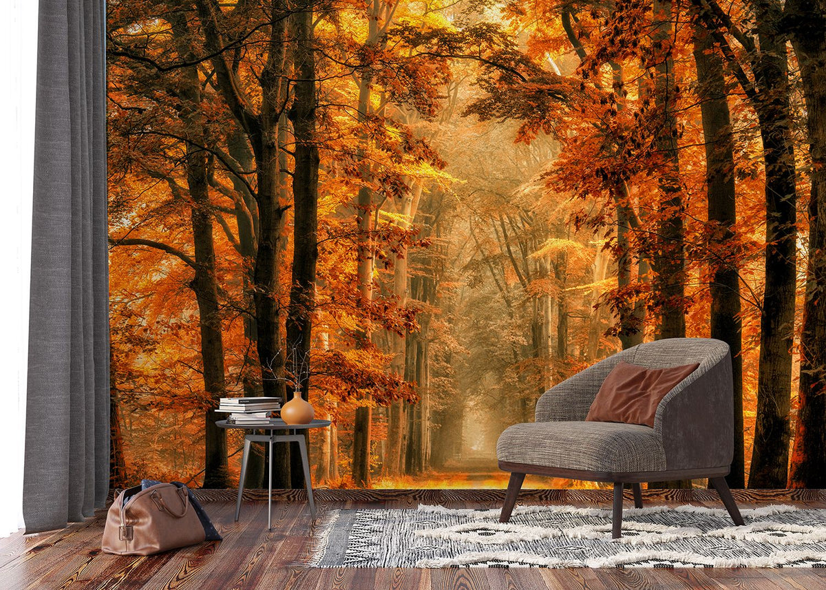 Sanders & Sanders fotobehang bosrijk landschap warm oranje - 375 x 270 cm - 601014