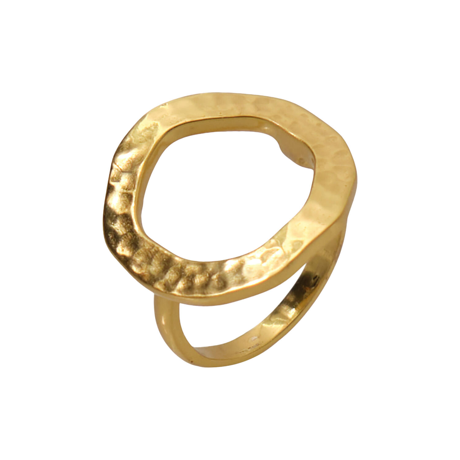 Circle of Life Ring