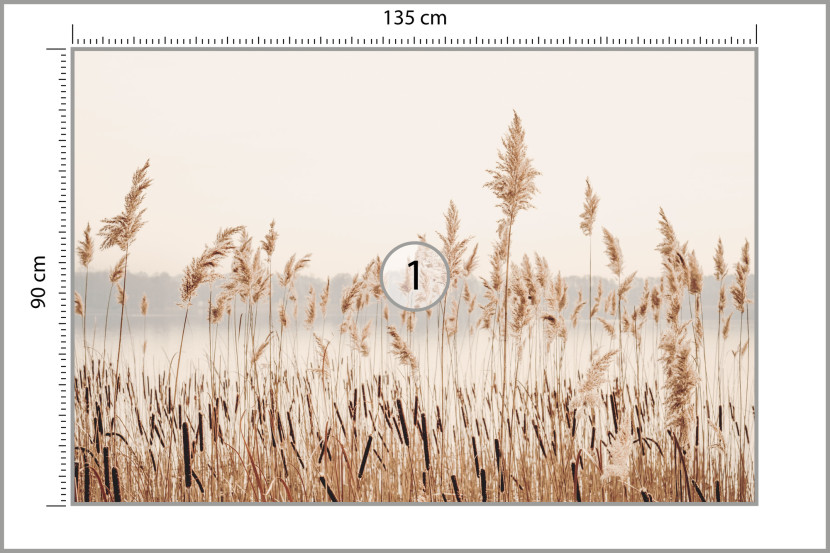 Fototapeta Trzciny Przy Spokojnym Jeziorze 135x90cm