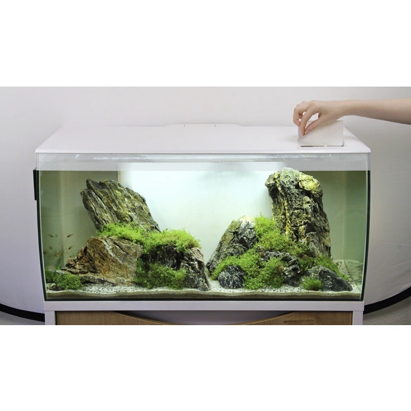 Aquarium, Flex