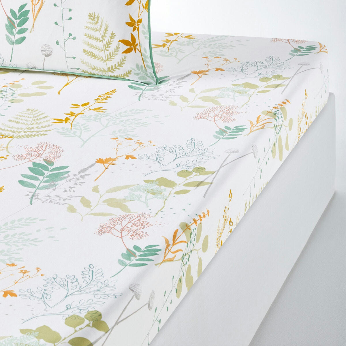 Drap housse percale de coton, Herbarium