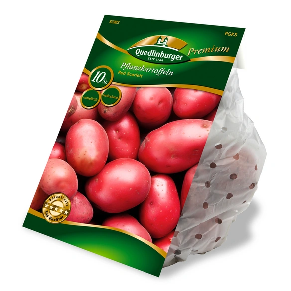 Pflanzkartoffel Solanum tuberosum »Red Scarlett«, 10 Stück