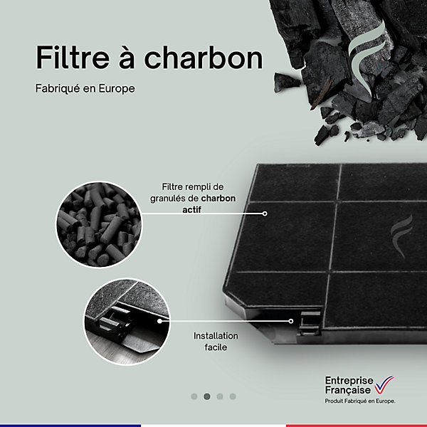 Filtre à Charbon Hotte Roblin Atrium 900 Inox 6051234