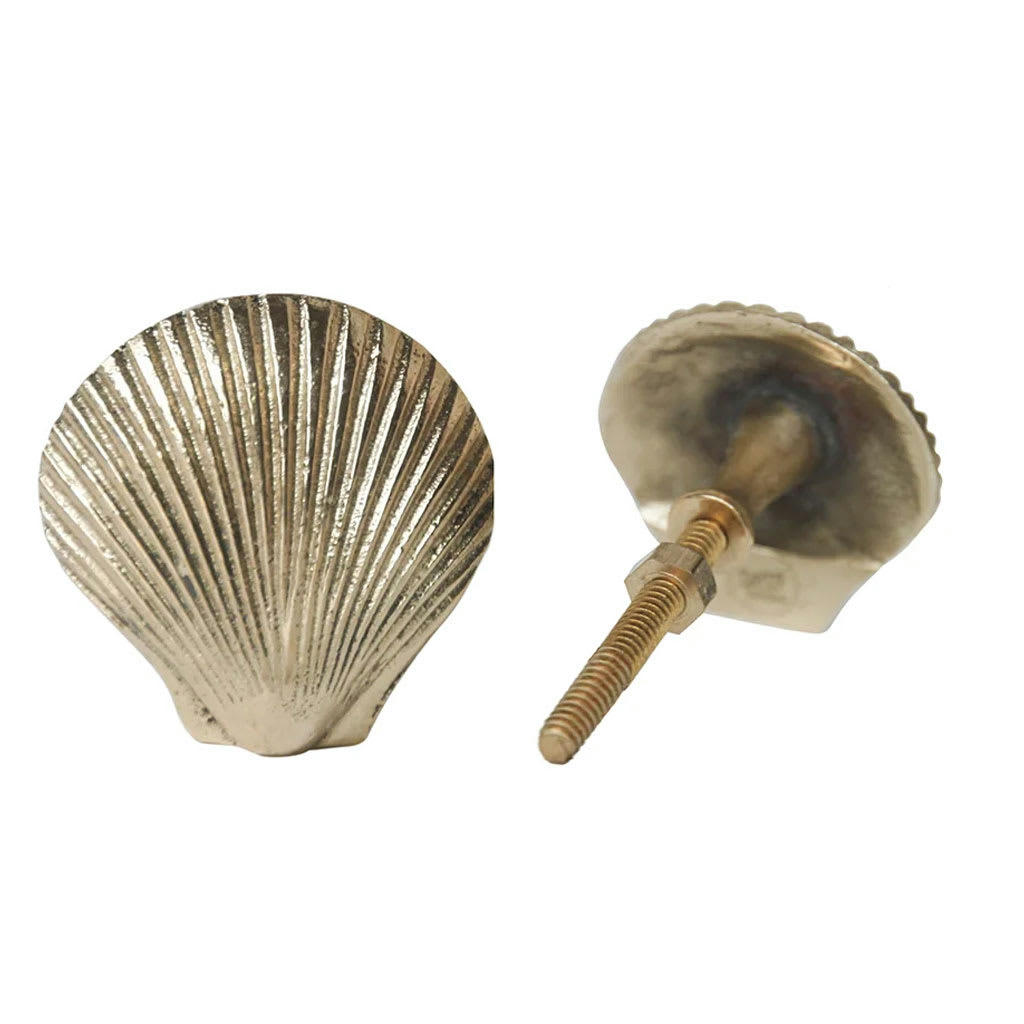 ABBY - Bouton de tiroir Coquillage 4cm