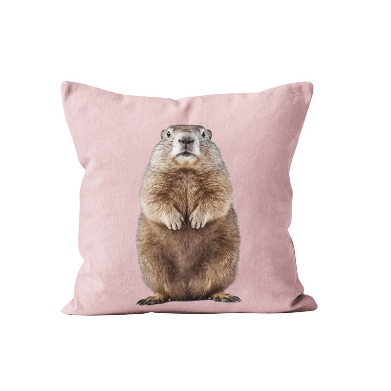 - Coussin déco animal marmotte rose pastel velours 40x40cm