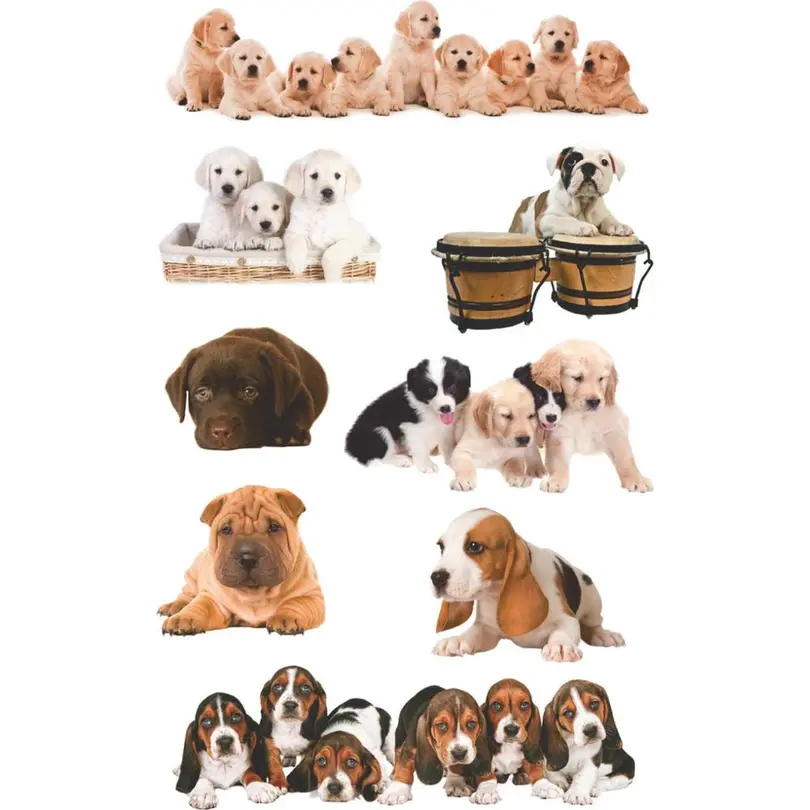 Sticker 3er-Set Kreativ