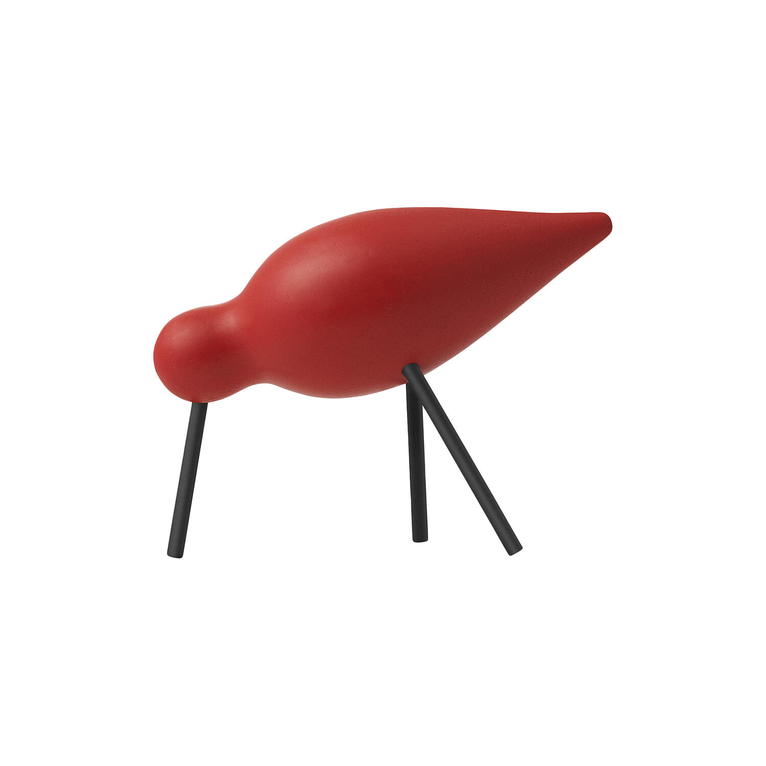 Shorebird, red