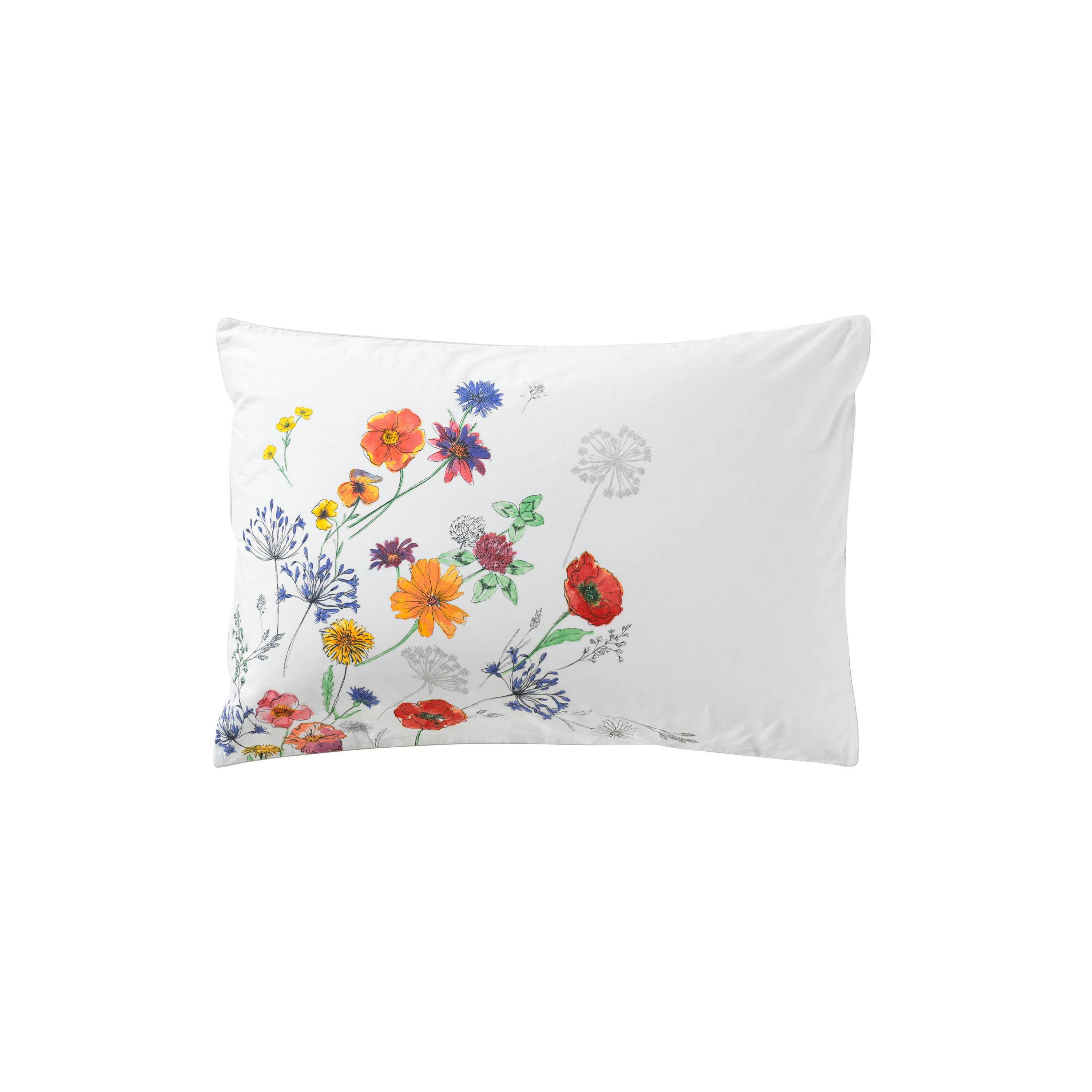 ELOGES - Taie d'oreiller rectangulaire percale de coton  blanc 50x70