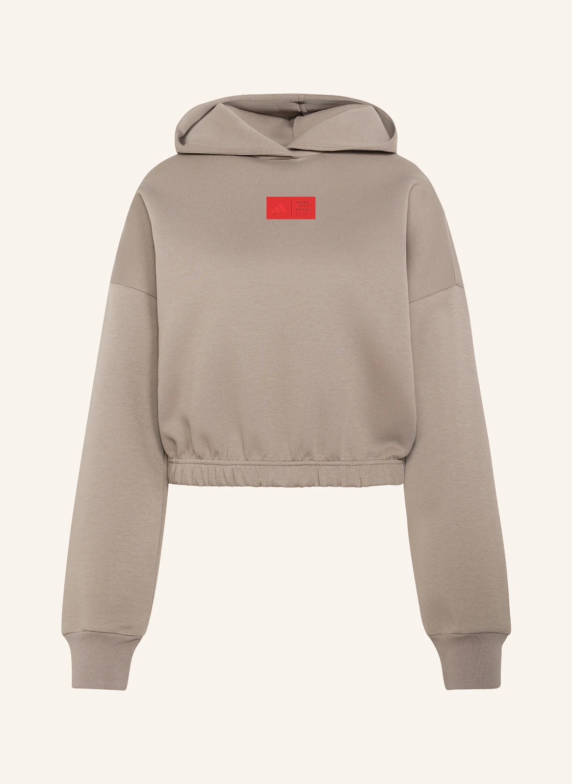 adidas Hoodie AUDI FORMULA ONE TEAM ELEVATED