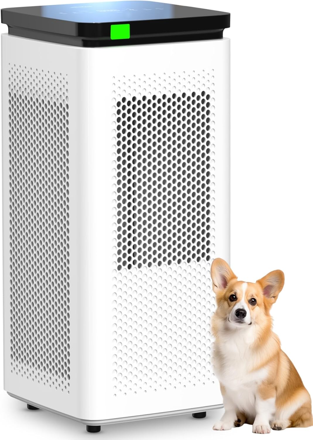 Air Purifiers for Home Large Rooms up to 3500 Ft², H13 True HEPA 0.1 Micron 99.97% Filtration with Carbon Filter, 235 CFM CADR, for Pollen, Pet Odor, Smoke, VOCs, 30dB Sleep Mode, PM2.5 Display