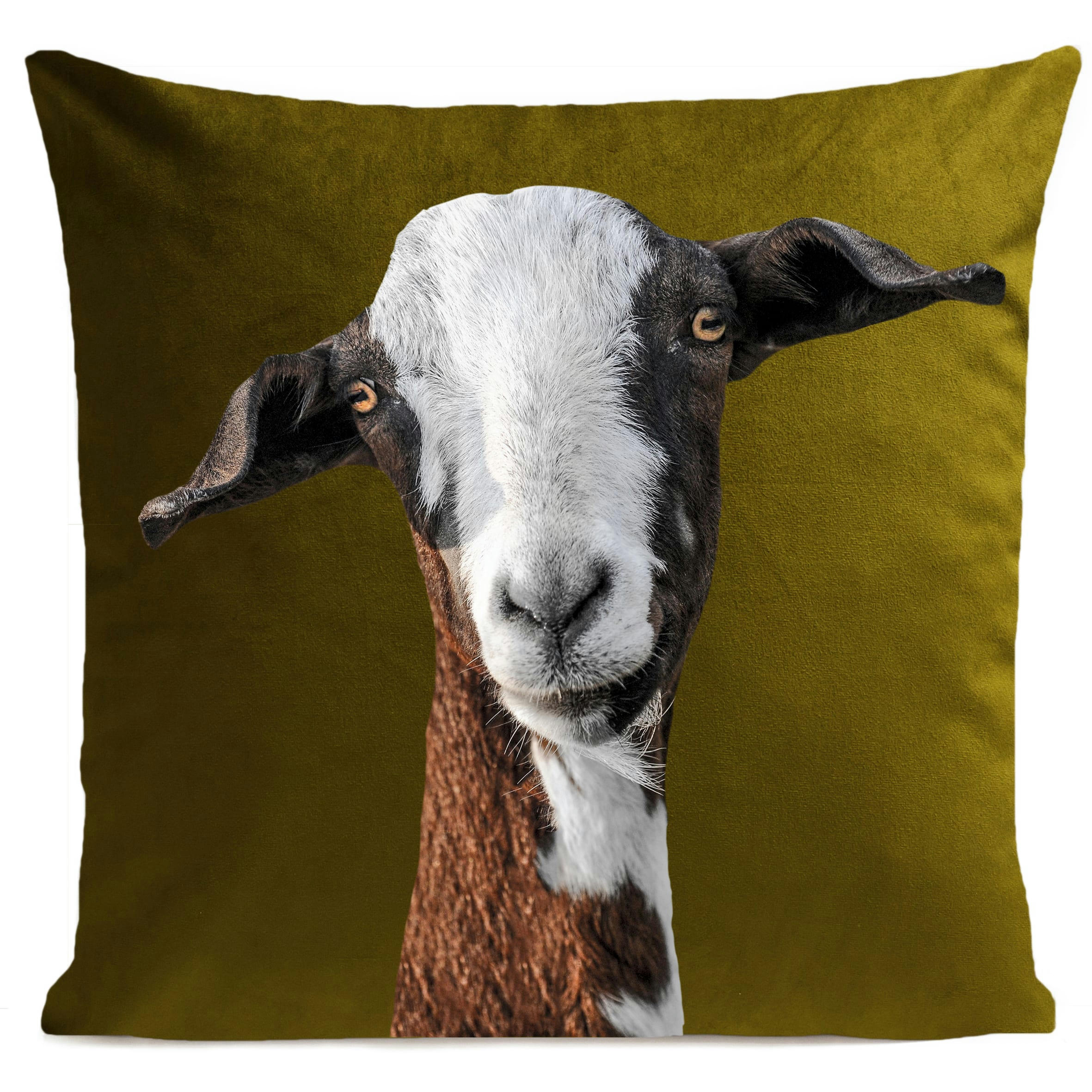 - Coussin campagne chèvre suédine vert 40x40cm