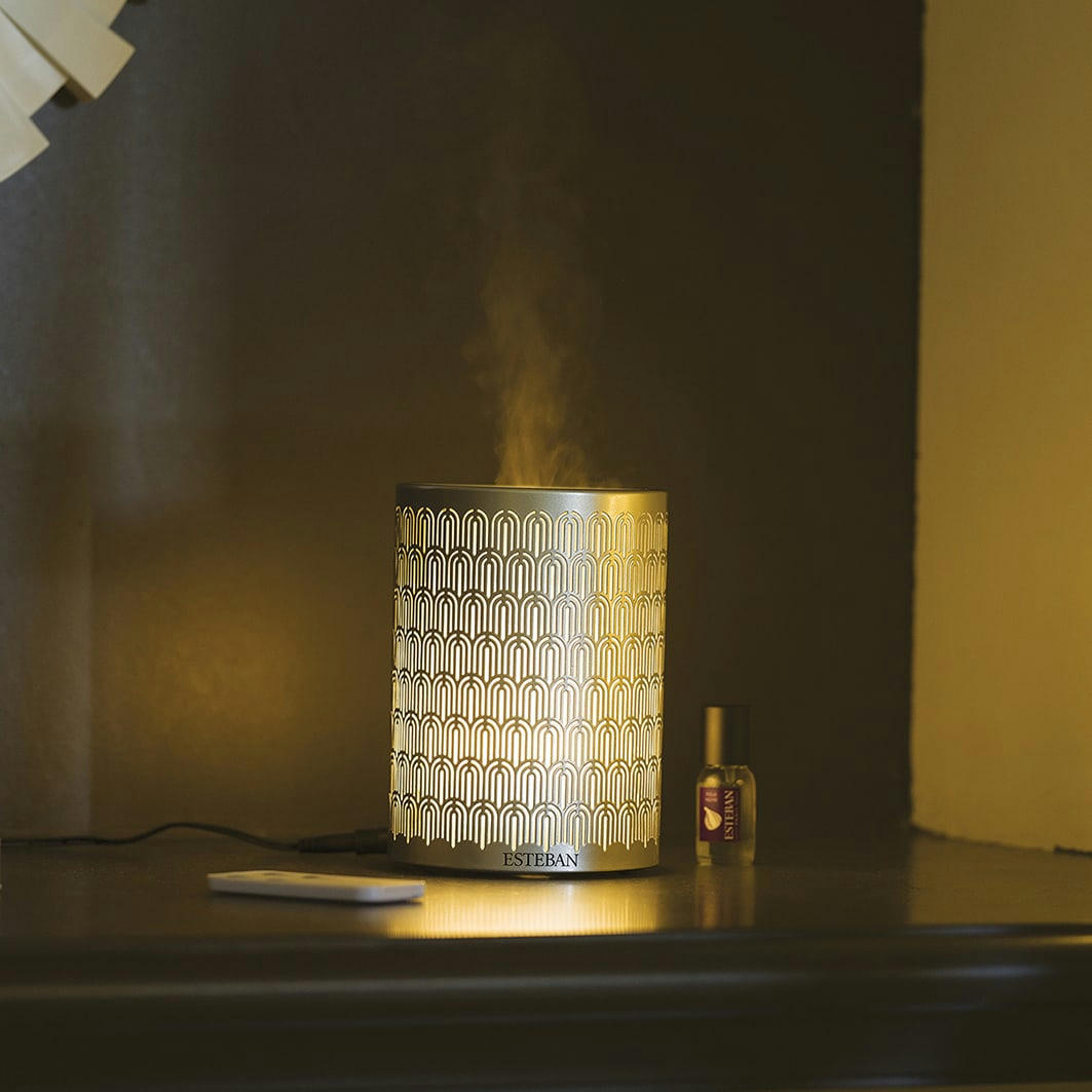 ÉDITION ARGENT & LUMIÈRE - Diffuseur brume de parfum électrique