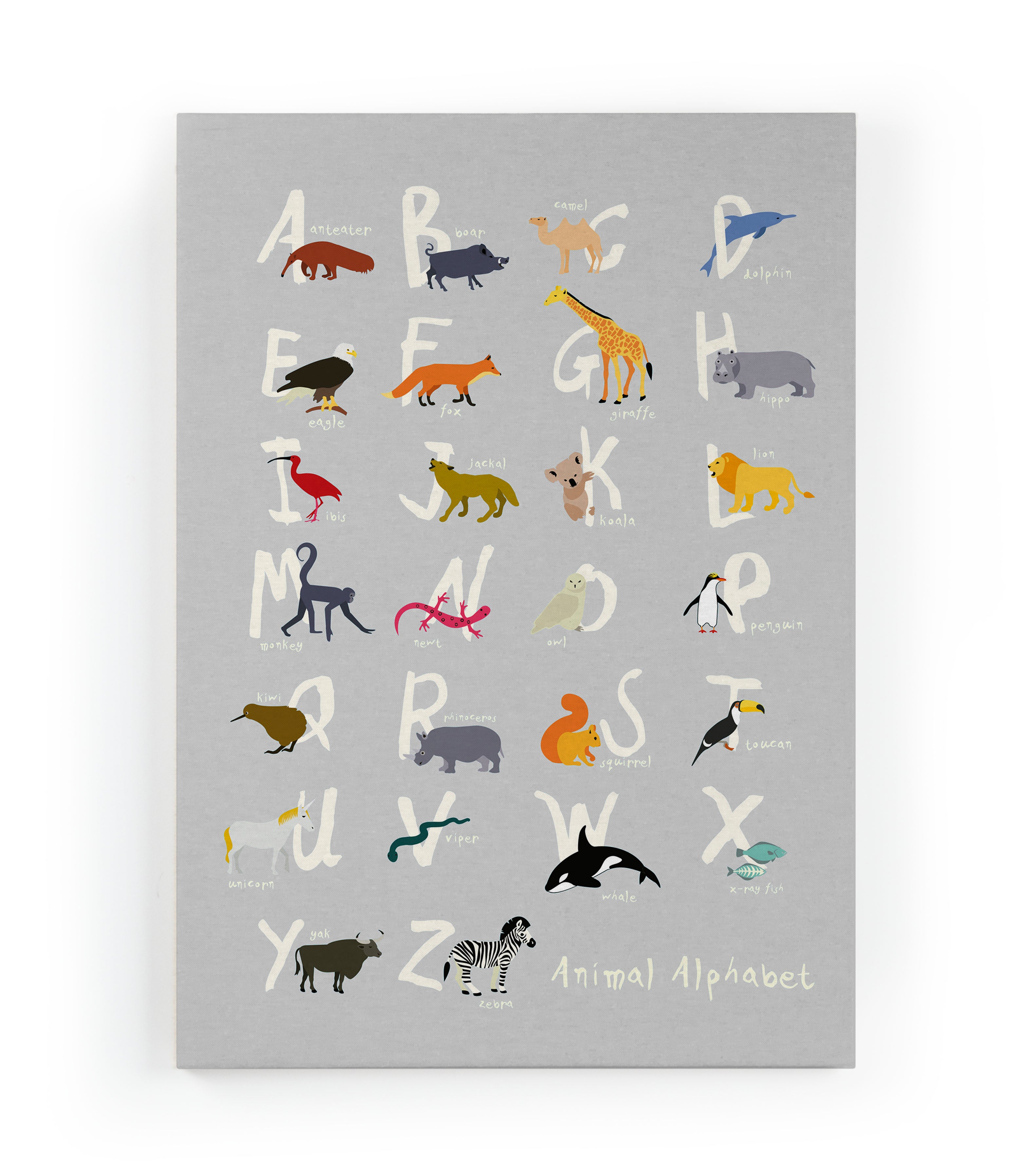 Canvas 60x40 Afdruk Dierenalfabet