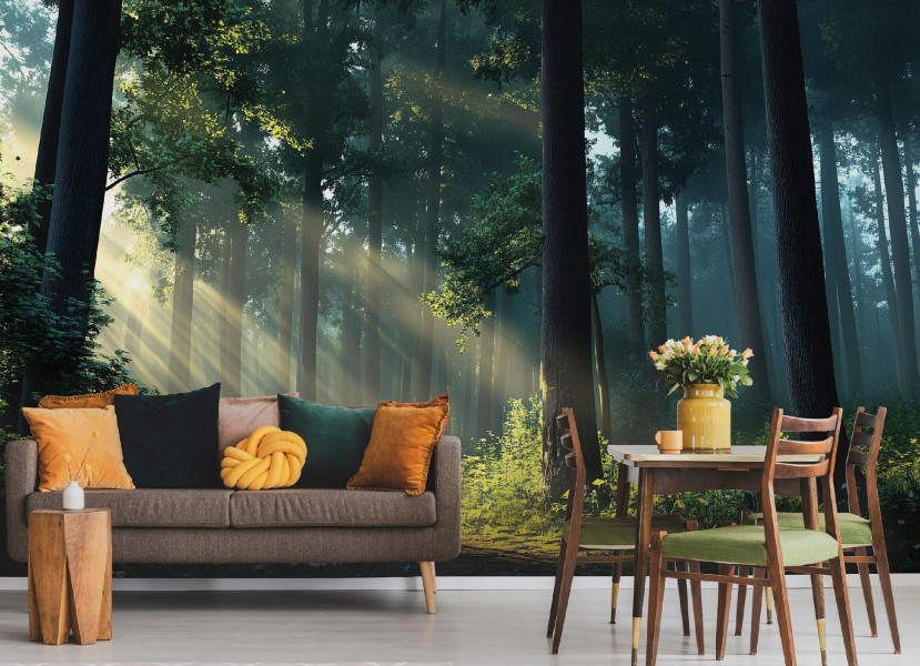 Fototapeta Las Słońce Drzewa 3D Natura Na Ścianę Sypialnia Salon 250X175