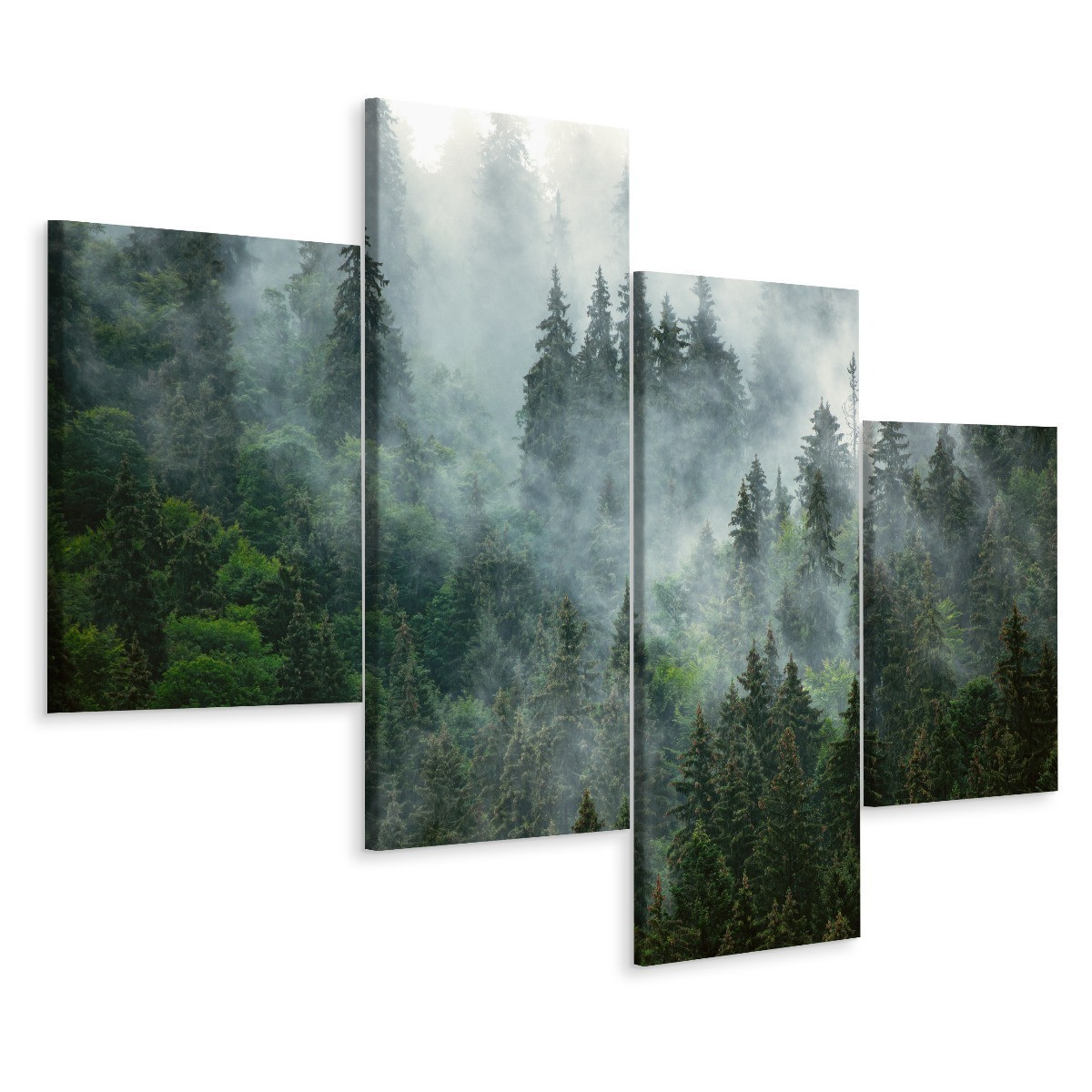 Obrazy Do Salonu Pejzaż LAS WE MGLE 3D 80x50cm