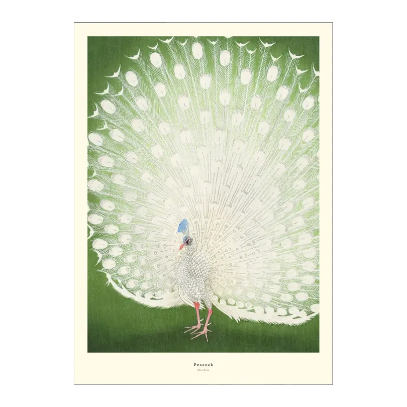 Poster Printart