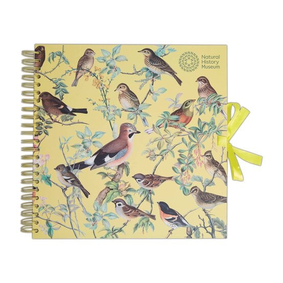 Natural History Museum Flock Scrapbook 12 x 12 Inches