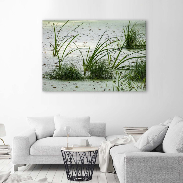 Feeby Obraz na płótnie Trawa wydmy piasek plaża 60x40