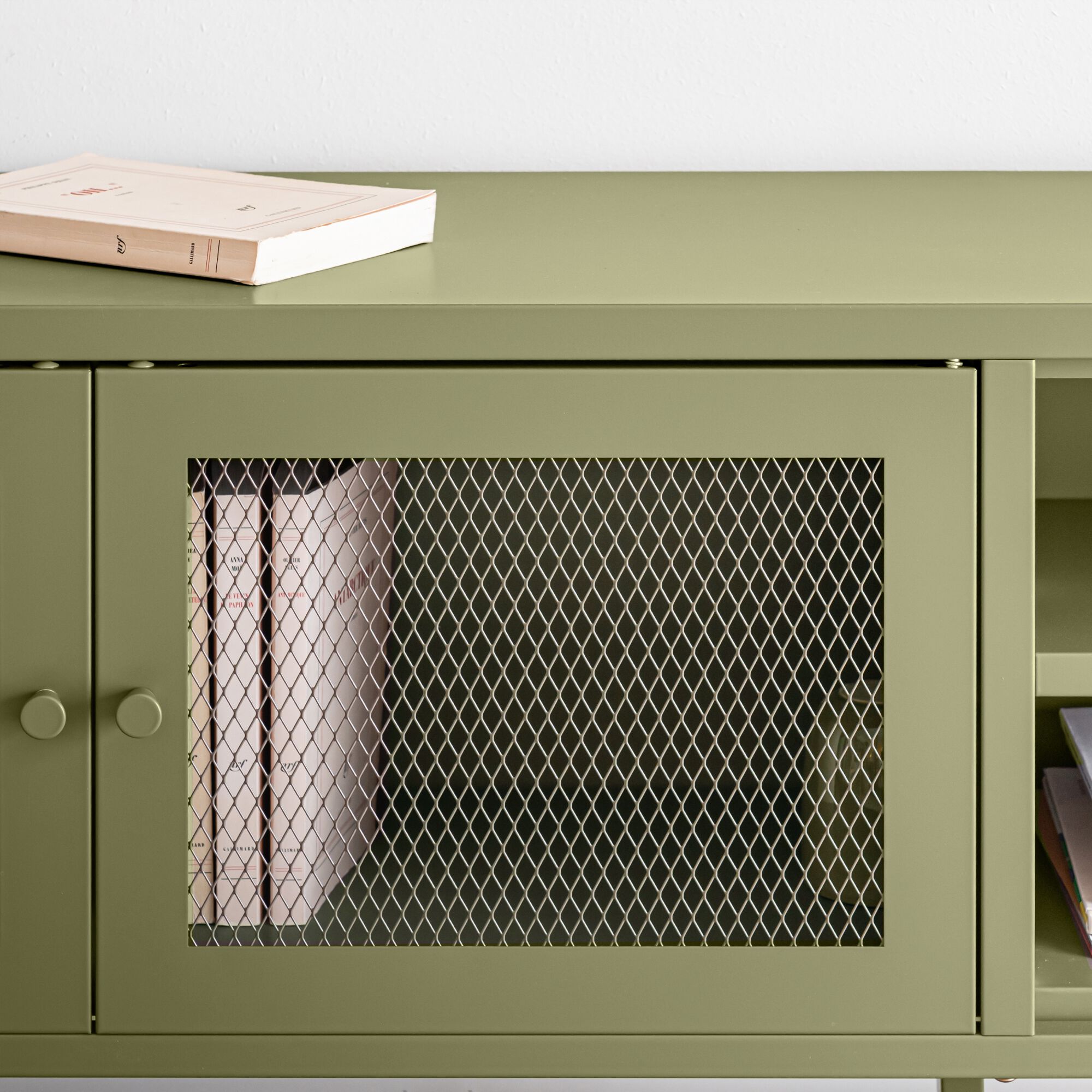 FAYNA - Meuble TV 2 portes et 2 niches en acier - vert