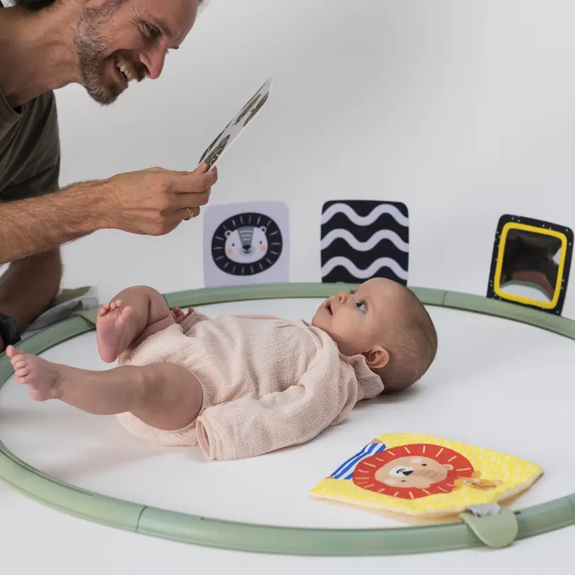 Spielzeug Taf Toys