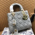 Dior The LADY D-LITE Bag