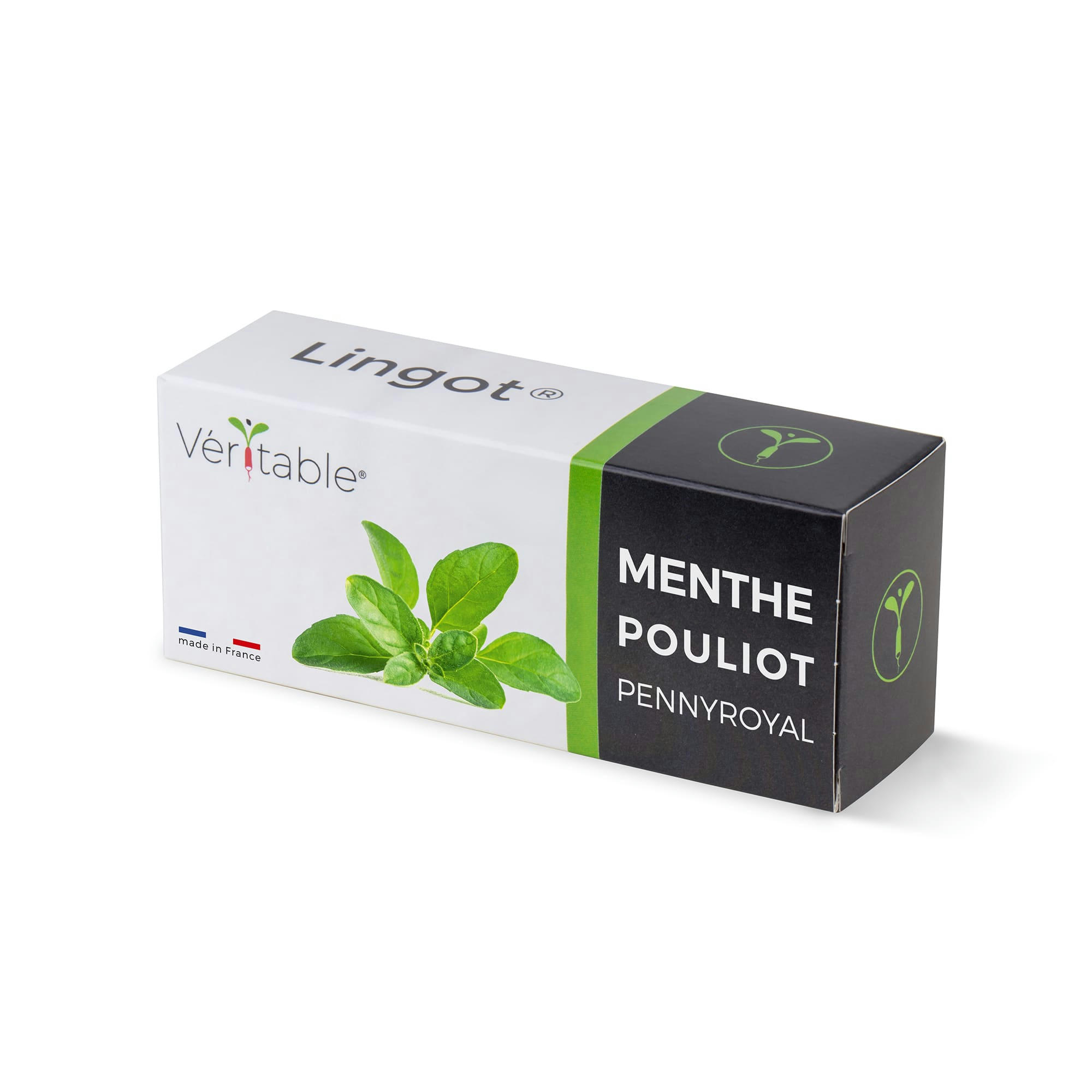 - Lingot Menthe pouliot - Recharge prête à l'emploi