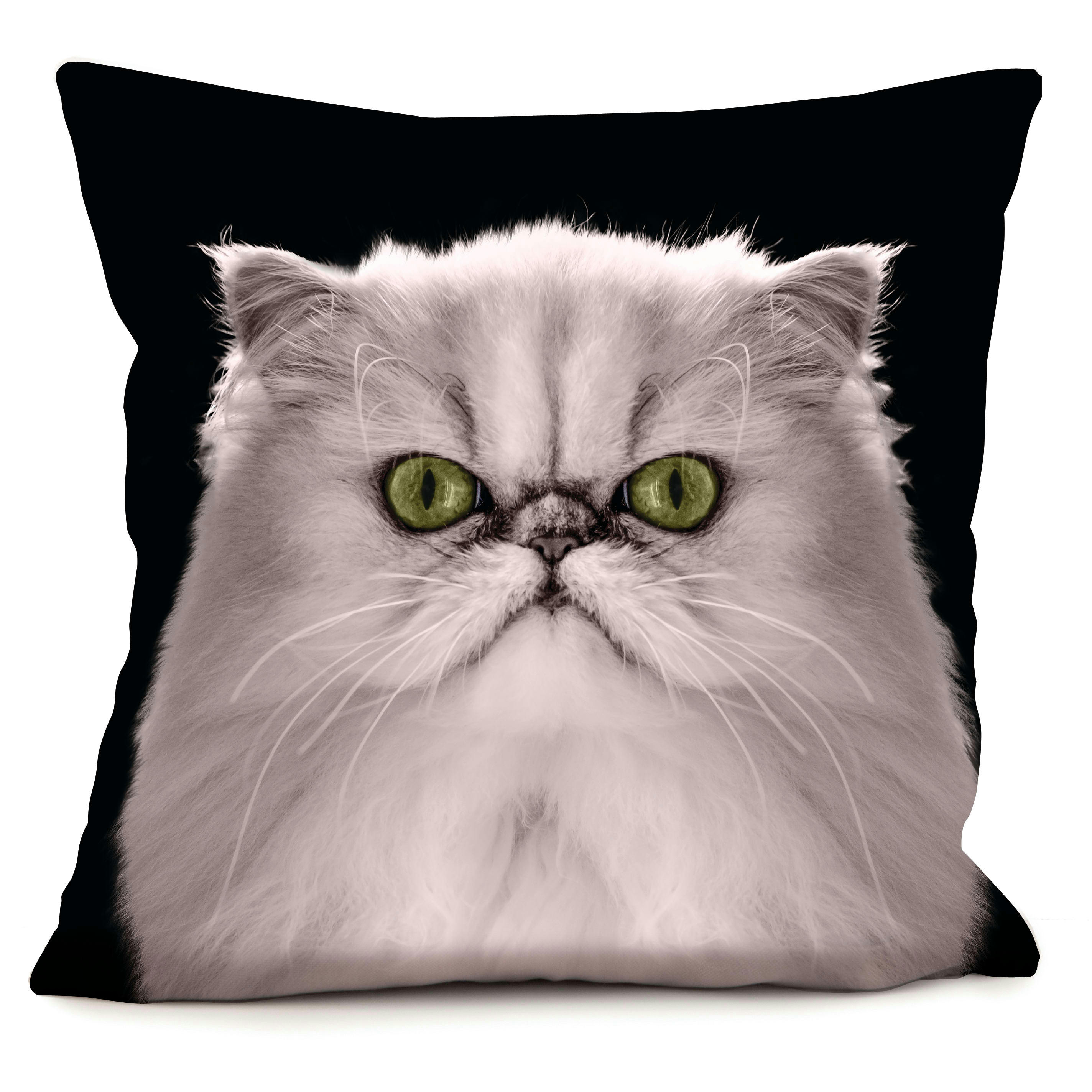 - Coussin chat suédine noir 40x40cm