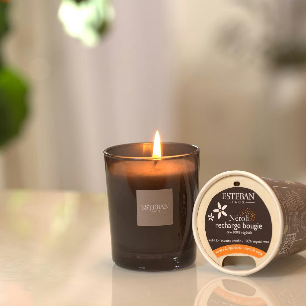 CÈDRE - Bougie classique parfumée rechargeable