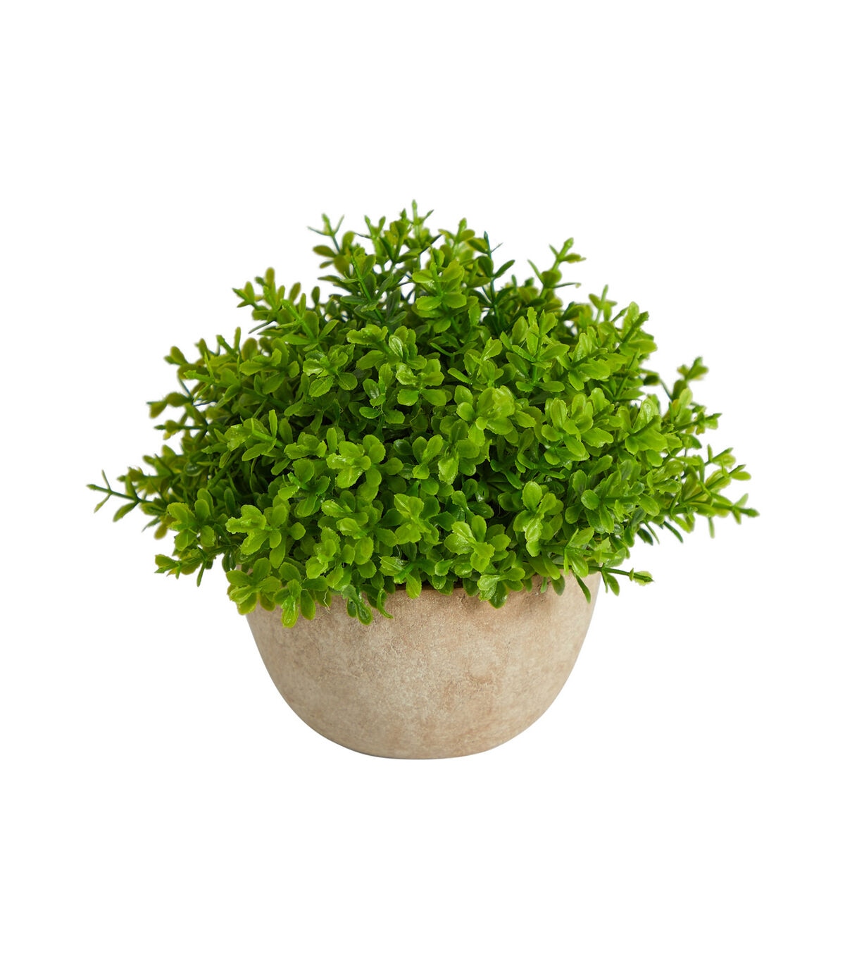 Nearly Natural 5 Boxwood Artificial Plant in Decorative Planter