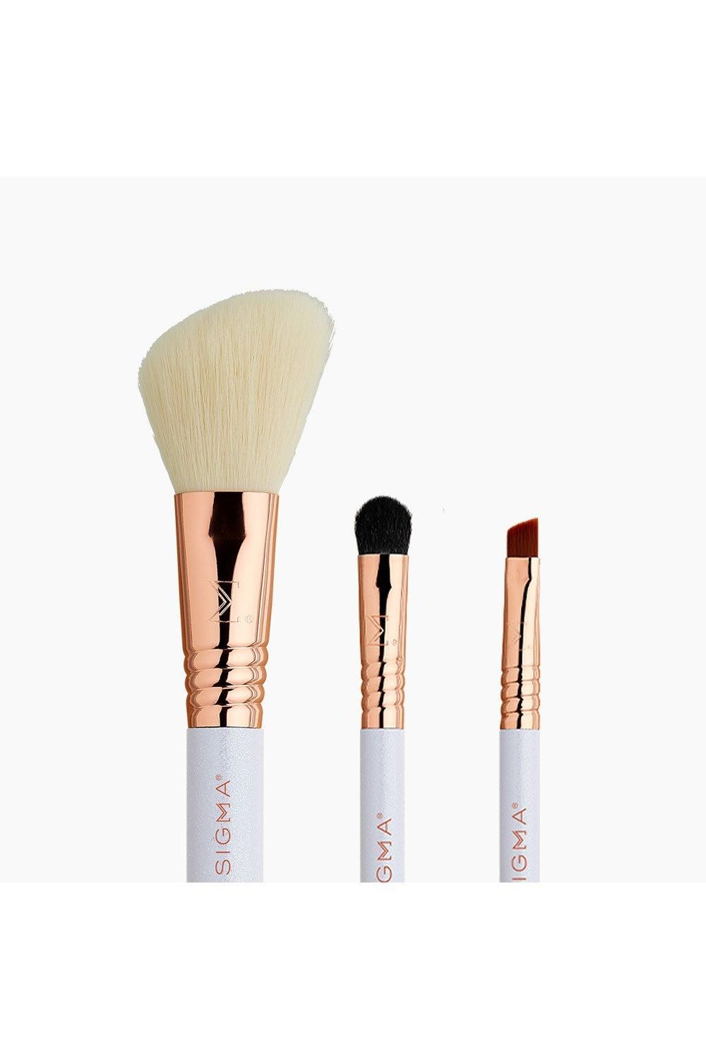 Sigma Sleigh All Day Travel Brush Gift Set