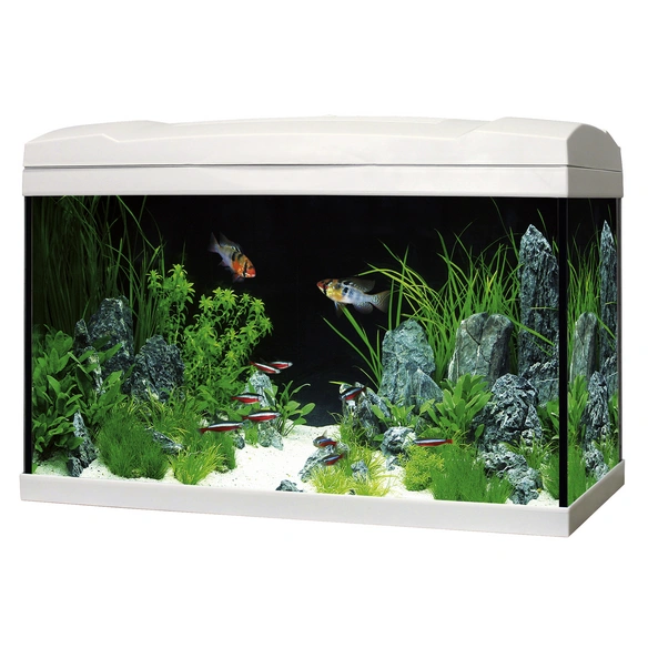 Aquarien-Set »Marina Complete«, Breite: 60 cm, Kunststoff, weiß