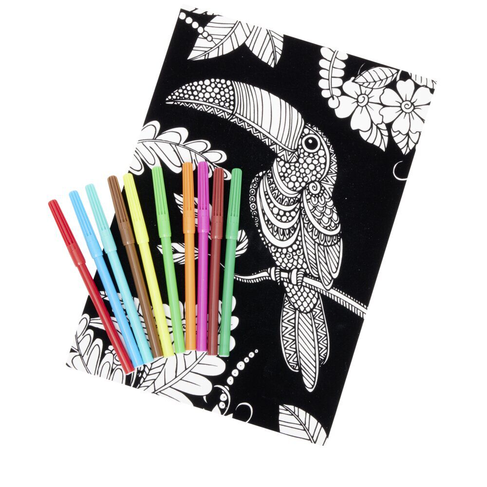 Coloriage velours avec 10 feutres