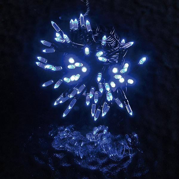 Guirlande électrique exterieur 80 led grain de riz bleu anime