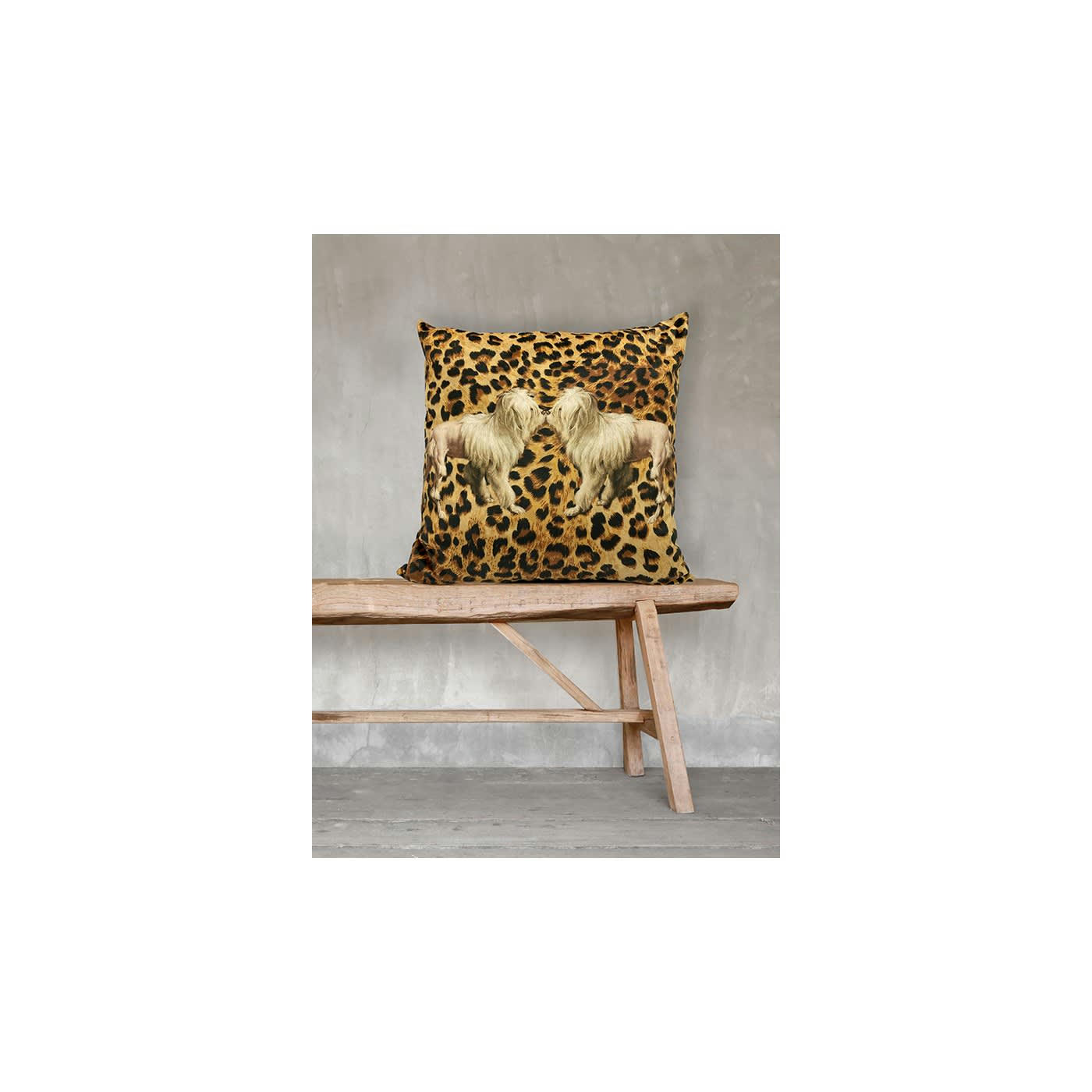 TIGERDOG - Coussin velours 50x50
