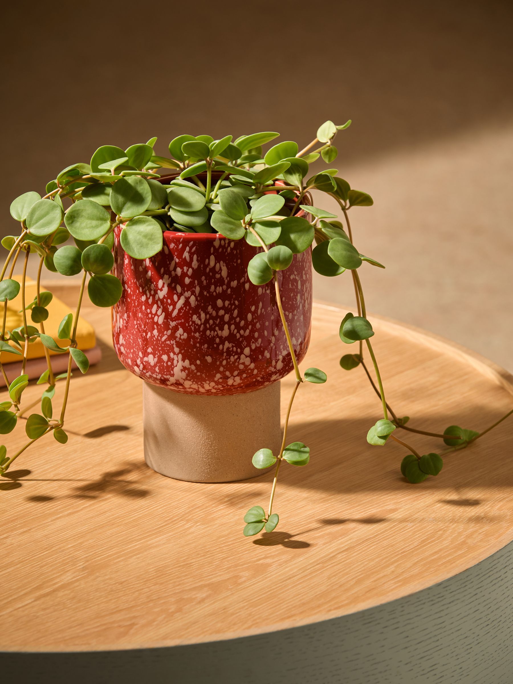 Santiago Hand Splatter Small Plant Pot in Terracotta & White