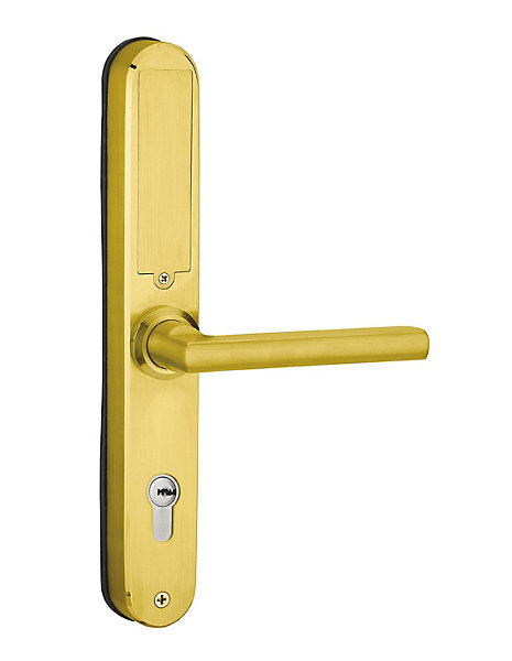Paire de poignées connectées Intelock Multi, pour porte d'entrée, entr'axes 85mm, doré - INTELOCK